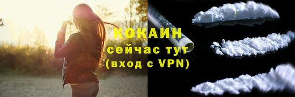 a pvp Бородино