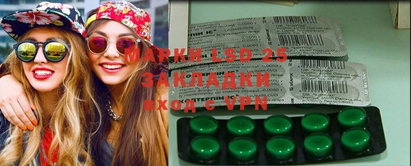 a pvp Бородино