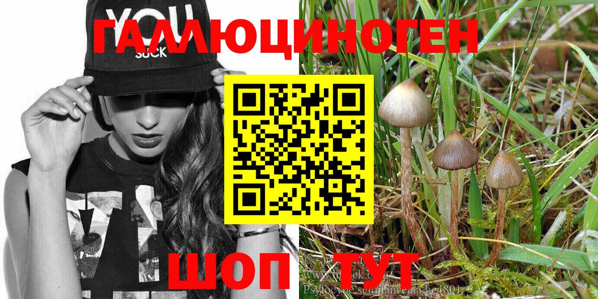 Псилоцибиновые грибы Magic Shrooms  закладка  Железногорск  Вход с VPN 