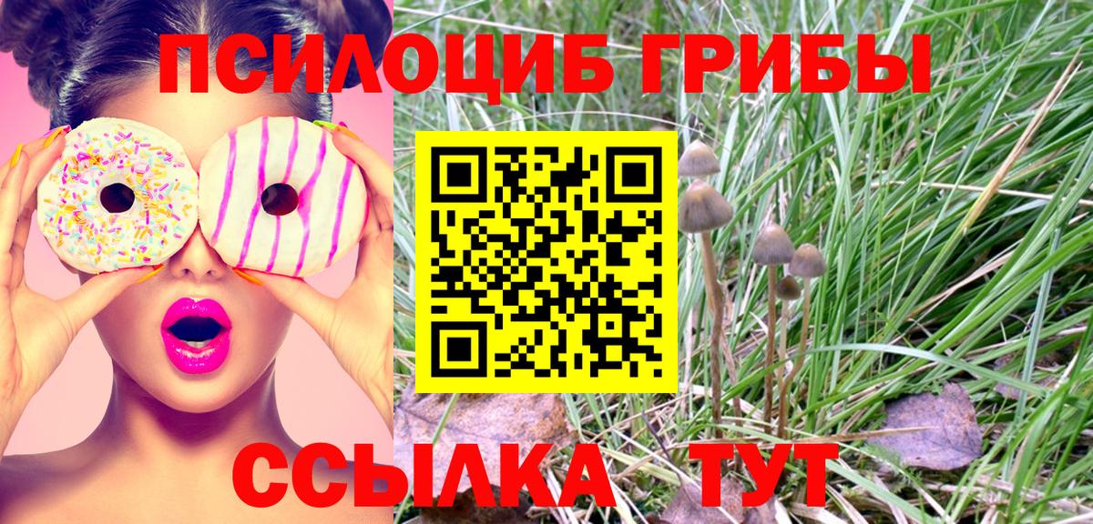 Псилоцибиновые грибы GOLDEN TEACHER Железногорск