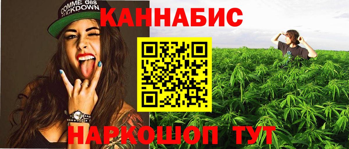 Железногорск  Марихуана сатива  Марихуана план  Вход с VPN  Конопля Amnesia 